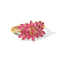EVER TRUE AA Afrikanischer Rubin (Fissure gefüllt) Ring 950 Kupfer (Größe 18.00) ca. 2,71 ct