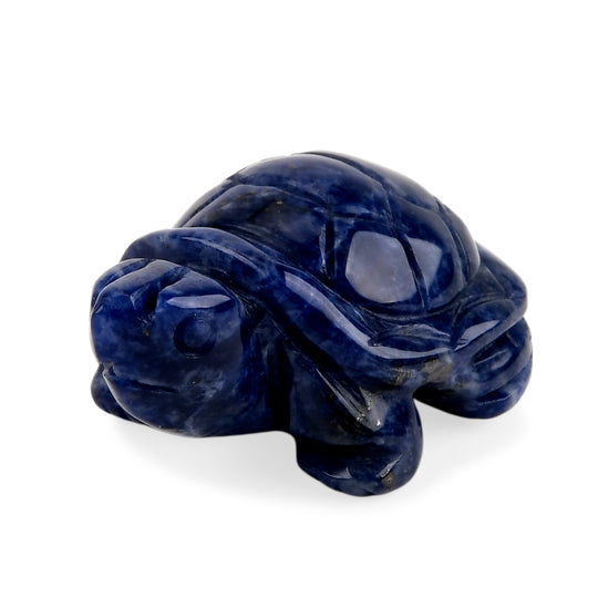 Turtle-Sodalite-2 inches Material: Semi precious stone