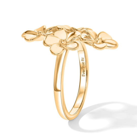 EVER TRUE Reine Bronze 750 VergoldetRing (Größe 17.00) ca. 5,00g