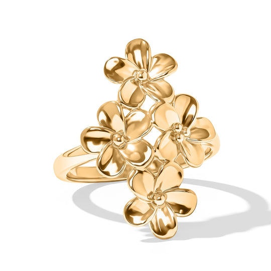 EVER TRUE Reine Bronze 750 VergoldetRing (Größe 17.00) ca. 5,00g