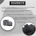 Frog on a Leaf Shungite Figurine 1.5x1.75 Approx. 335.00ctw (7-8 Werktage Lieferzeit)