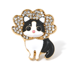 Katze