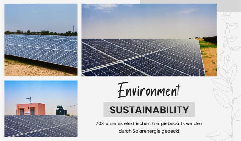 Sustainability