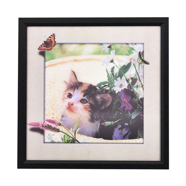 5D Katzen Gem&auml;lde, Mehrfarbig