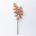 THE 5TH SEASON: Tiger-Schmetterlingsorchideen mit Vase, Kunstblumen, Größe: 28x15x43 cm  image number 2