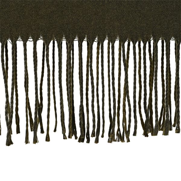 Eleganter doppelseitiger Schal mit Fransen, 68x180cm, Gr&uuml;n image number 5
