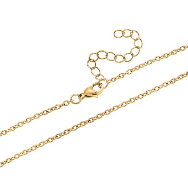 Abalone Muschel Ammonit-Design Anhänger mit Kette, Reiner Edelstahl, goldfarben image number 5