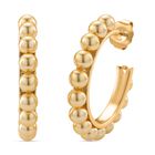 Goldene Muschelkernperle Ohrringe, Reiner Edelstahl, vergoldet