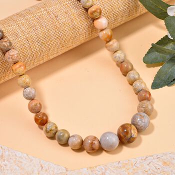 Koralle Halskette, 50 cm - 525 ct.