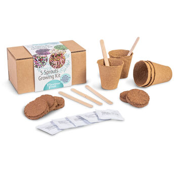 Sprossen-Anzuchtset 5-teilig Lauch Brokkoli Gartenkresse Radieschen Mungbohnen mit Holzfaser-T&ouml;pfen Erde-Tabletten Saatgut und Pflanzenetiketten in Geschenkbox