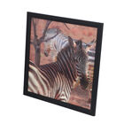 Realistisches 5D Zebra-Gemälde, Mehrfarbig image number 1