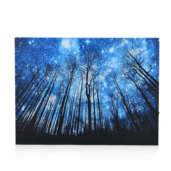 LIVMORE Wald Motiv LED Wandbild mit Glasfaser Lichteffekt 30 x 40 cm