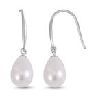 Weiße Muschelkernperle Ohrringe 925 Silber rhodiniert