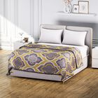 Flannel printed blanket,230 gsm, 100% polyester,L150*W200cm,knitted,680g,light grey