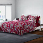 SERENITY NIGHT: 3er-Set, Quilt und 2 Kissenbezüge, 240X260 und 2mal 50X75 cm, Rot