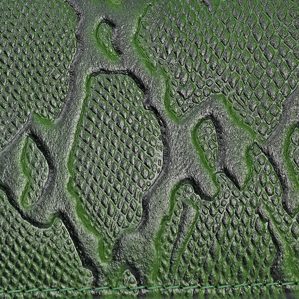 LA MAREY Geldb&ouml;rse aus Leder mit RFID Schutz und Python Pr&auml;gung, 18,4 x 10,2 cm, Gr&uuml;n image number 9