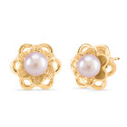 Lila Süßwasser Perle Ohrringe Nickelfreies Messing Standard