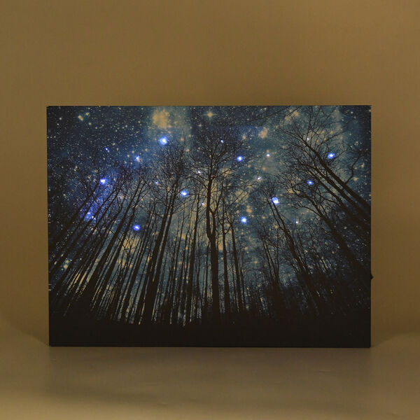 LIVMORE Wald Motiv LED Wandbild mit Glasfaser Lichteffekt 30 x 40 cm image number 5