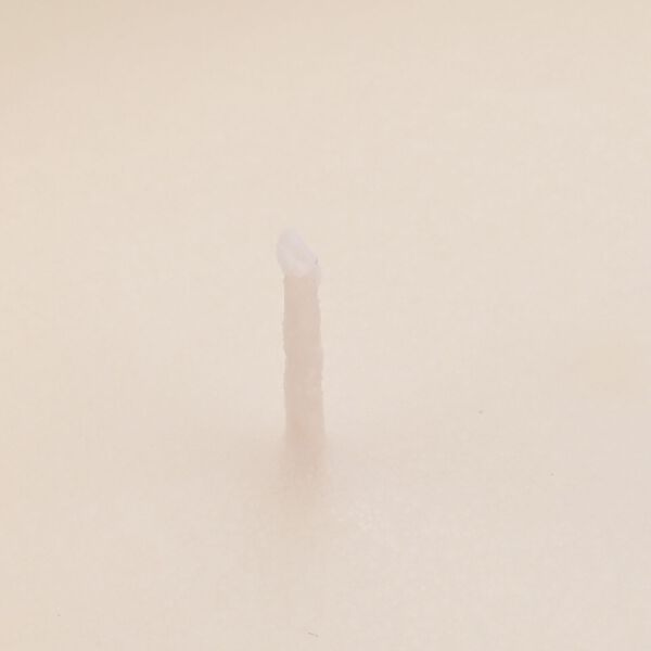 LIVMORE - Duftkerze Winterzauber-Design, 28 Std. Brenndauer, 150g, 4,5 ml &auml;therisches &Ouml;l, Oud-Holz, Gr&uuml;n image number 6