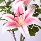 THE 5TH SEASON: Glasvase mit 2 rosafarbenen Lilien, Kunstblumen, Größe 12x20x50 cm  image number 1