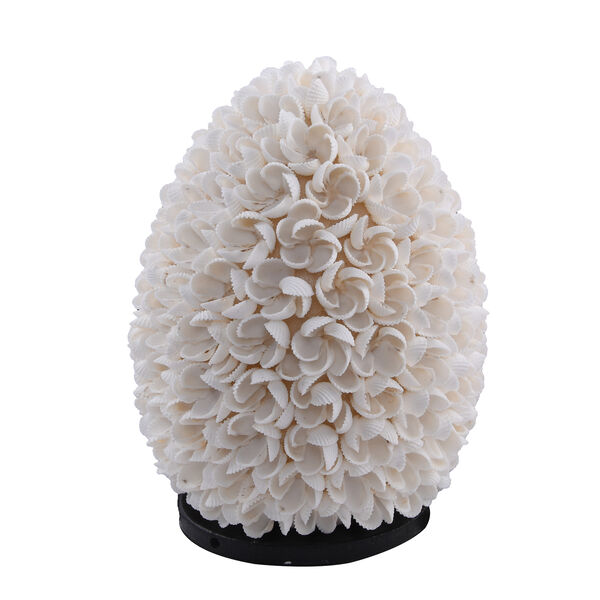 Lampe aus Muschel in Ei Form