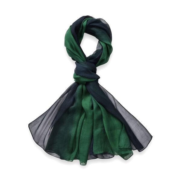 LA MAREY Ombre Chiffon Seiden Schal, Grün image number 0