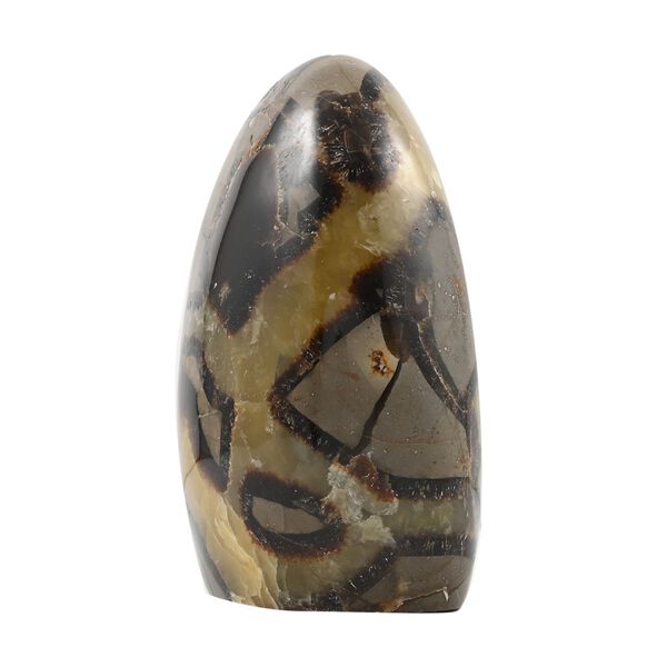 Gem Crystal Kollektion - Septarian - 1750 cts. image number 2