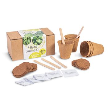 Kr&auml;uter-Anzuchtset 5-teilig Basilikum Schnittlauch Dill Petersilie Thymian mit Holzfaser-T&ouml;pfen Erde-Tabletten Saatgut und Pflanzenetiketten in Geschenkbox