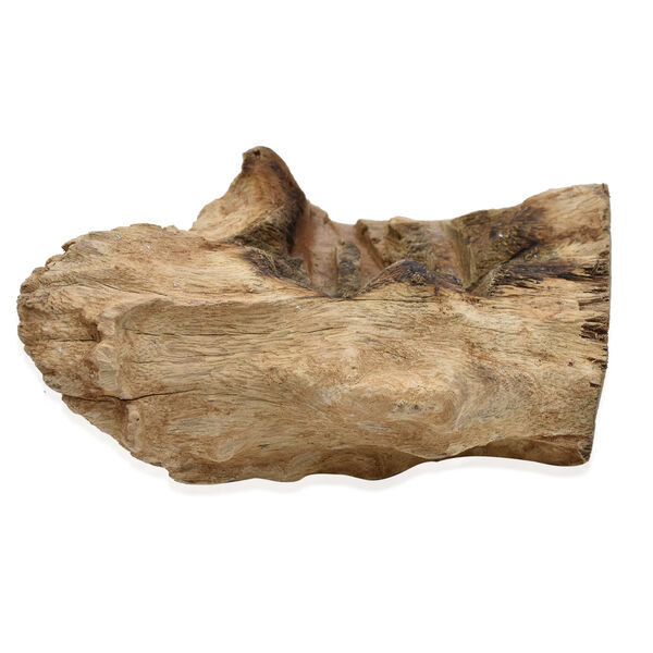 Jardin de Bali: Mundgeblasen Glassch&uuml;ssel auf Naturholz image number 5