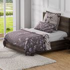 6er Set: 80 GSM Antibakterielles Antiallergisches Mikrofaser Bettwäsche (je 2mal: 135x200 - 80x80 - 40x80 cm), Beige-Grau