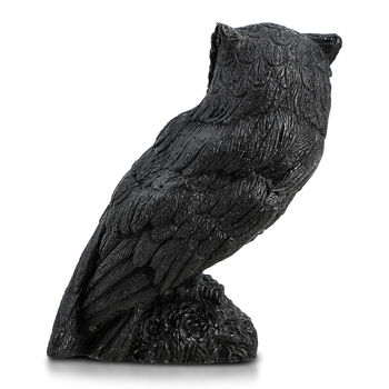 Eule Schungit Figur, 10x7,8cm