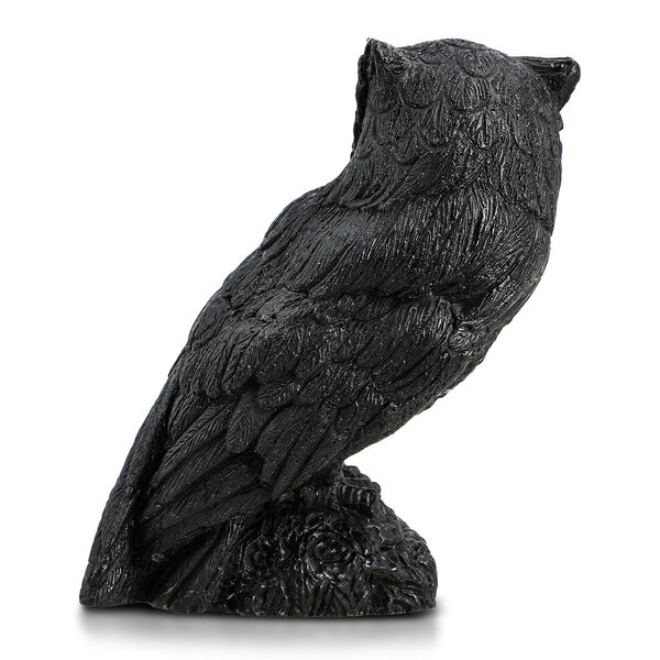 Eule Schungit Figur, 10x7,8cm image number 4