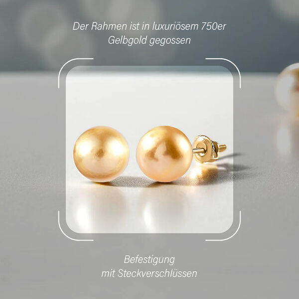 ILIANA AAA goldene Südseeperlen-Ohrringe image number 3