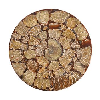 Ammonit Edelsteinzubeh&ouml;r, ca. 3800.00 ct