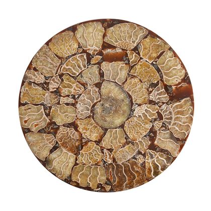 Ammonit Edelsteinzubeh&ouml;r, ca. 3800.00 ct