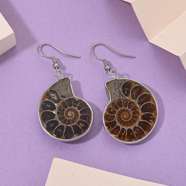 Ammonit Ohrringe Reiner Edelstahl ca. image number 2