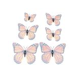 Set aus 42 bunten Schmetterlingsmagneten image number 2
