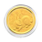 999er Goldm&uuml;nzefolie mit Hasenmotiv und Regenbogen-Designlinie, ca. 30 mm, ca. 100 mg