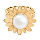 Süßwasser Perle Ring, Messing, ca. 10-11mm, (Größe 17.00)