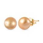ILIANA - AAA Goldene Südsee Perle Ohrringe, 750 Gold