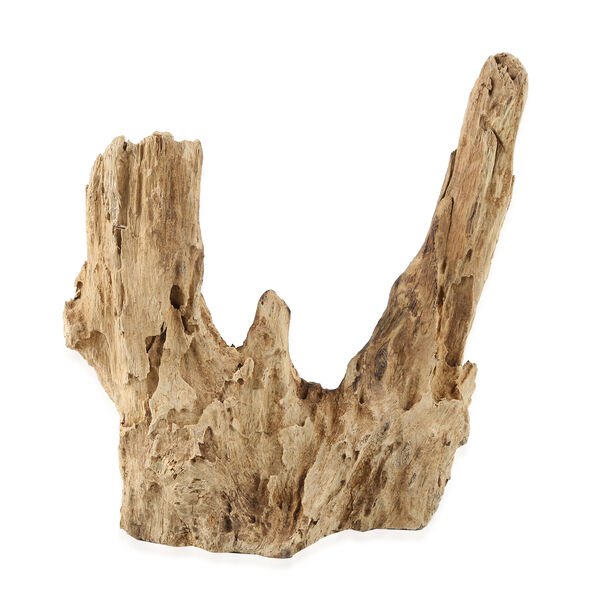 Jardin de Bali: Mundgeblasen Glasvase auf Naturholz, H&ouml;he 12-15 cm image number 5