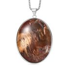 EXKLUSIVES ANGEBOT - Versteinertes Holz Anhänger mit Kette, ca. 300.00 ct