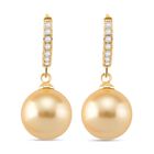 Goldene Muschelkernperle, Weißer Zirkonia Ohrringe, Nickelfreies Gelb Messing