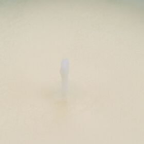 LIVMORE - Duftkerze im strukturierten Glas, 48 Std. Brenndauer, 280g, 8,4 ml &auml;therisches &Ouml;l,  Pink Champagner, 48 Std. Brenndauer, Rot