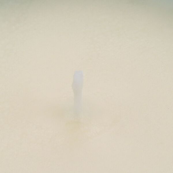 LIVMORE - Duftkerze im strukturierten Glas, 48 Std. Brenndauer, 280g, 8,4 ml &auml;therisches &Ouml;l,  Pink Champagner, 48 Std. Brenndauer, Rot image number 4