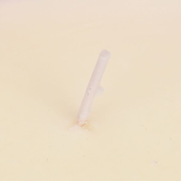 Premium Duftkerze &ndash; Waldnebel, 280 g, 50h Brenndauer image number 5