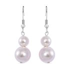 Weiße Muschelkernperle Ohrringe Reiner Edelstahl Standard