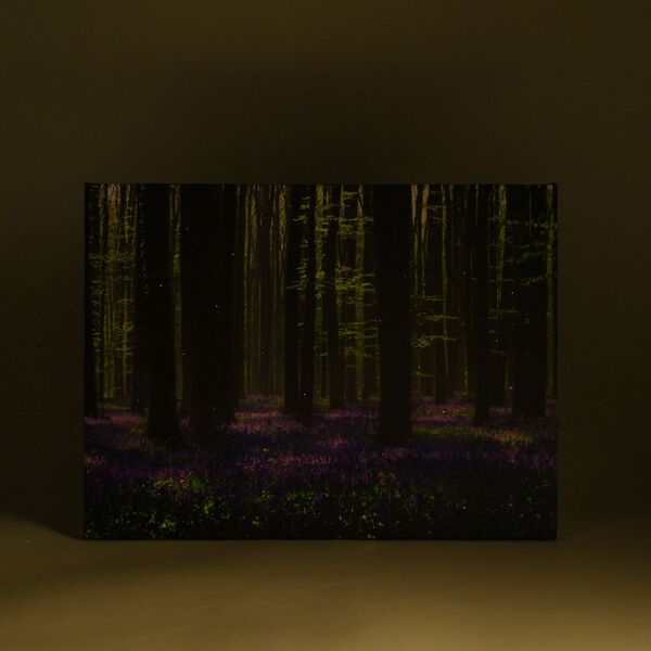 LED Leinwand Rahmen Digitaldruck Wandbild, Wald, 30x40 cm image number 2