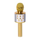 Multifunktions Karaoke Mikrofon und Bluetooth Lautsprecher mit sprachgesteuerten LED - Lichter und Sound - Echo, Gold image number 0