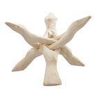 Handgefertigter dreibeiniger Holzständer für Geoden, Schalen, Pflanzen etc., 15cm